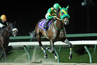 第39回マイルチャンピオンシップ南部杯(JpnⅠ)/盛岡競馬場


