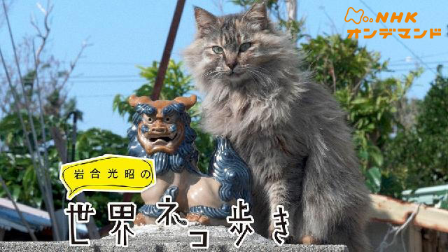 岩合光昭の世界ネコ歩き