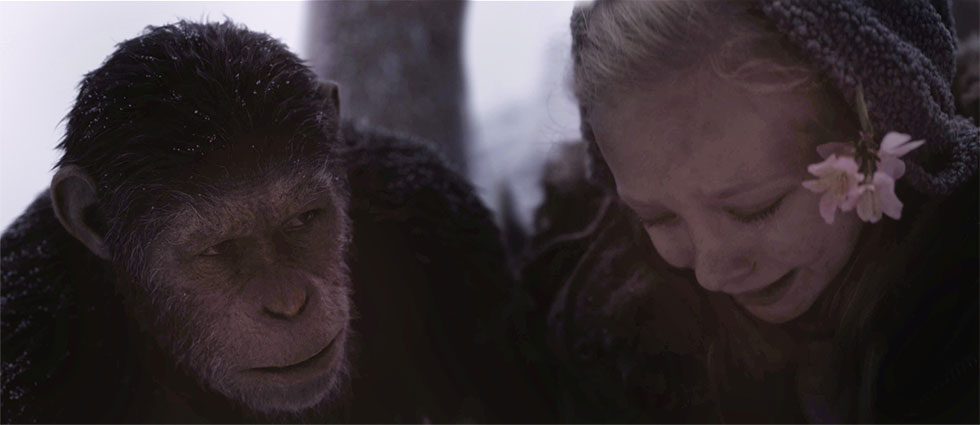 人間よりも猿に感情移入しちゃうかも きっと全作見たくなる Sf映画の大傑作 猿の惑星 News ひかりｔｖ