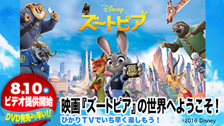 大人もトリコになった!映画「ズートピア」の世界にようこそ!ひかりTVでいち早く楽しもう!