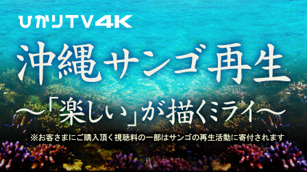 ひかりTV 4K 沖縄サンゴ再生~「楽しい」が描くミライ~