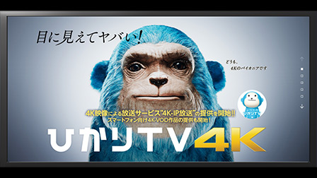 4K見るならひかりTV