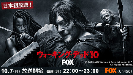 ウォーキング・デッド シーズン10【字幕】
