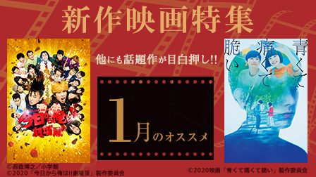 【1月のオススメ】新作映画特集!!