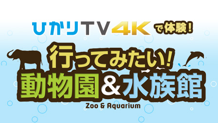 行ってみたい!動物園&水族館
