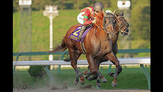 第30回 マーキュリーカップ(JpnⅢ)/盛岡競馬場