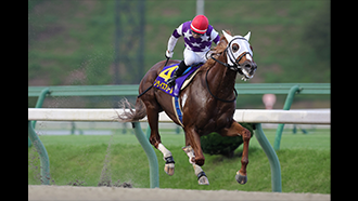 第31回クラスターカップ(JpnⅢ)/盛岡競馬場