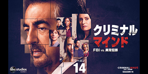 クリミナル・マインド/FBI vs. 異常犯罪 シーズン14 全15話(字幕版)