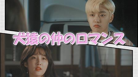 犬猿の仲のロマンス