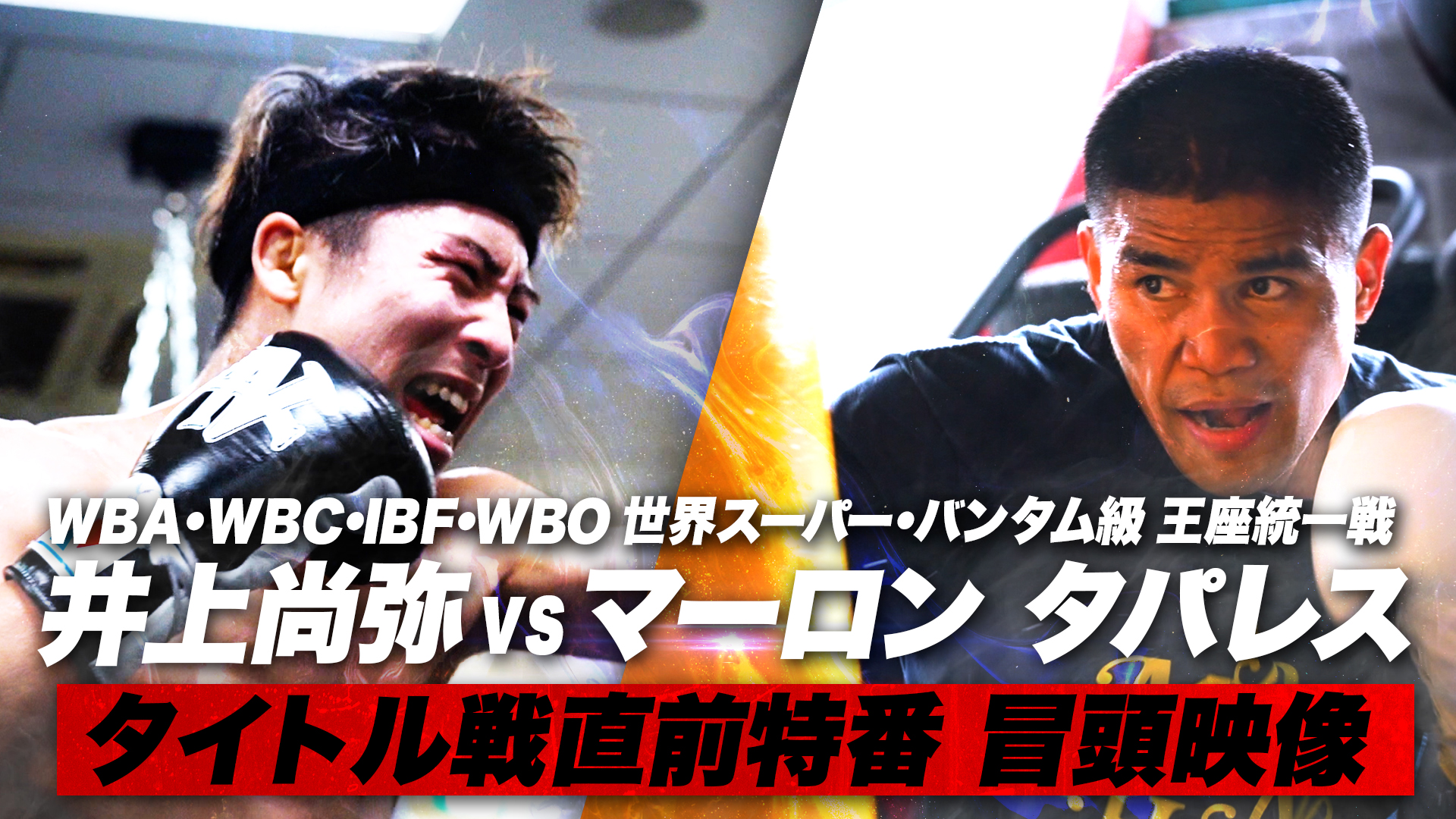 井上尚弥 vs マーロン タパレス タイトル戦直前特番