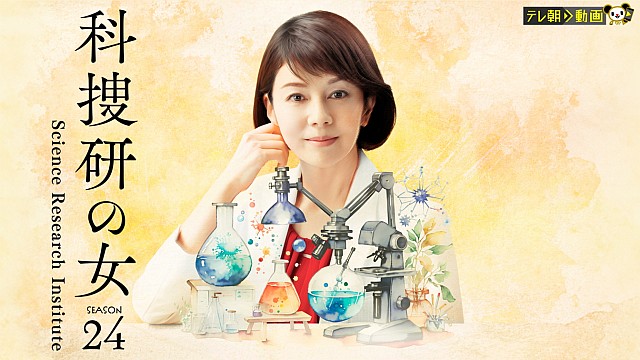 科捜研の女 season24